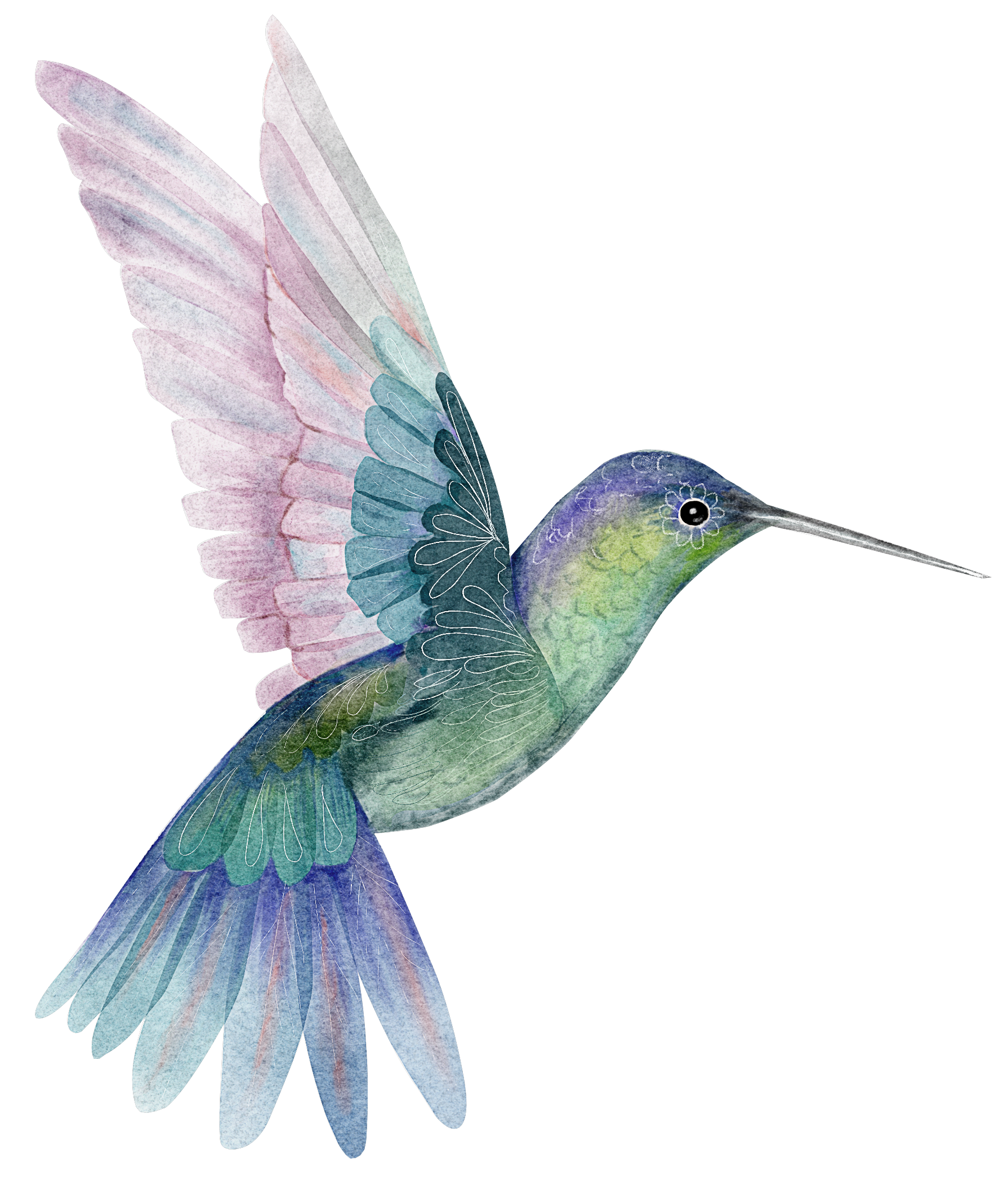 Hummingbird_